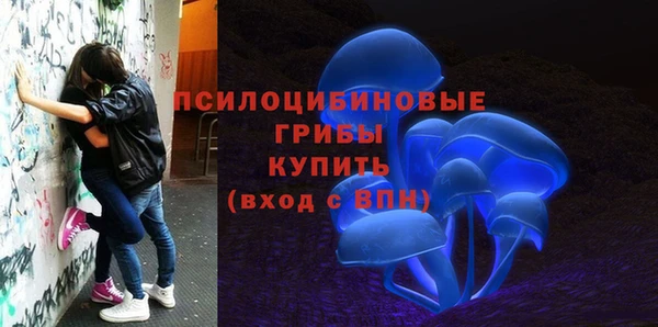 а пвп мука Верхний Тагил
