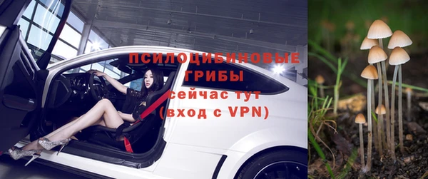 а пвп мука Верхний Тагил