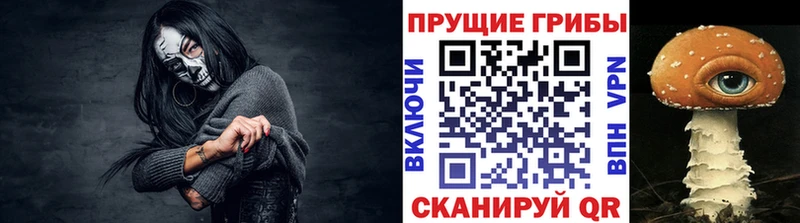 Псилоцибиновые грибы Psilocybe  Купить закладки  Новоуральск 